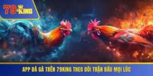 App Đá Gà