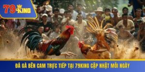 Đá Gà Bên Cam Trực Tiếp